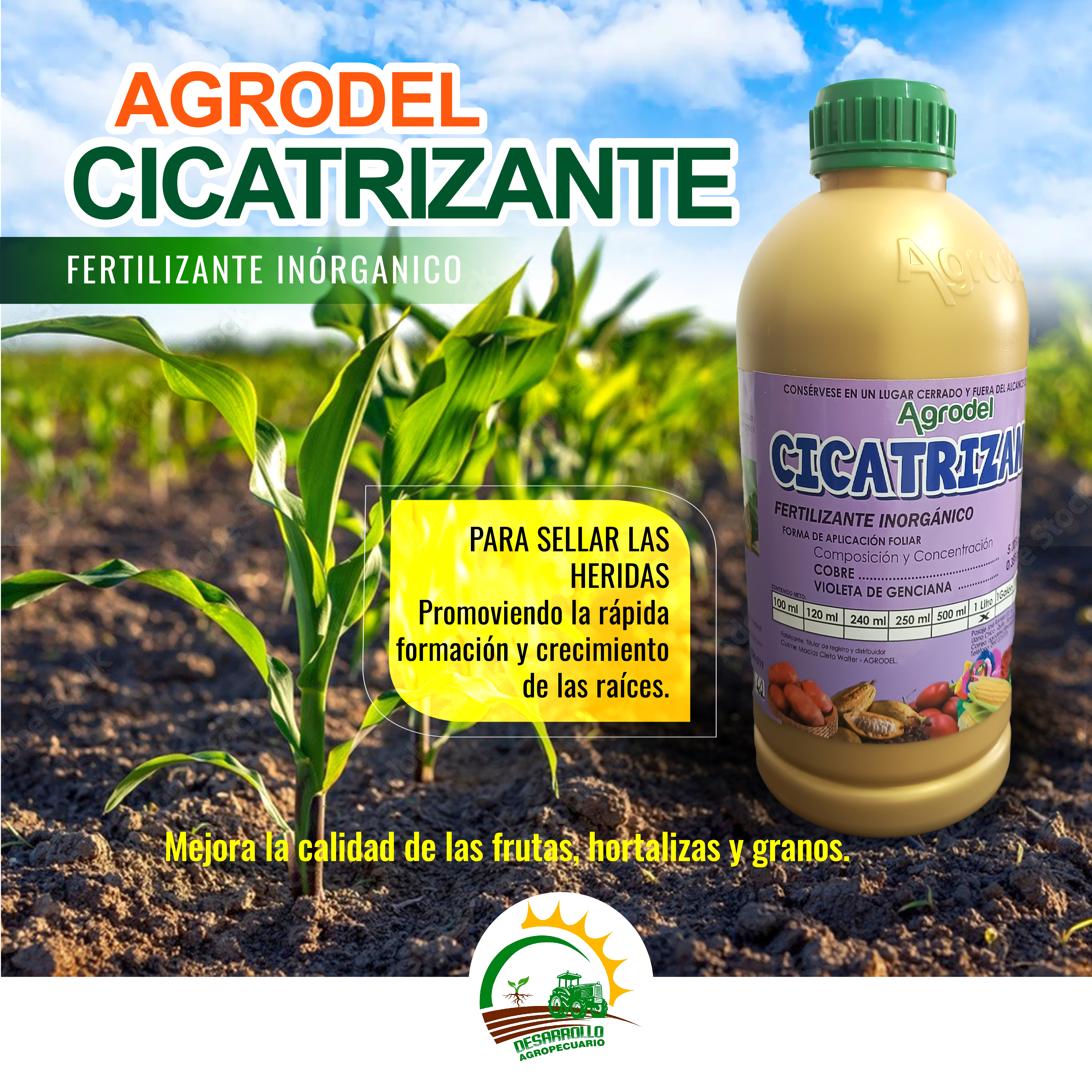 Publicidad 1